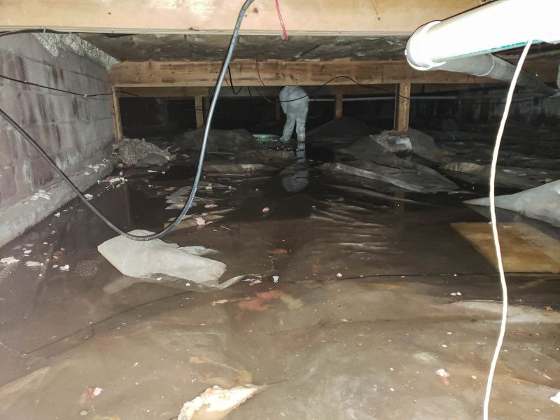 Experienced Waterproofing Contractors